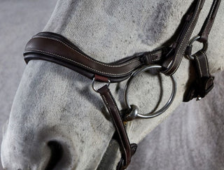 GFS PREMIER PROSPERITY BRIDLE 3 | Saddles Direct