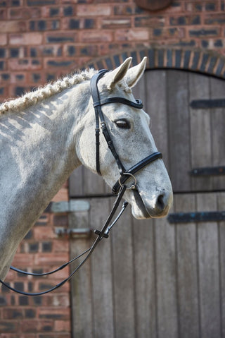 GFS SIMPLICITY BRIDLE 2 | Saddles Direct