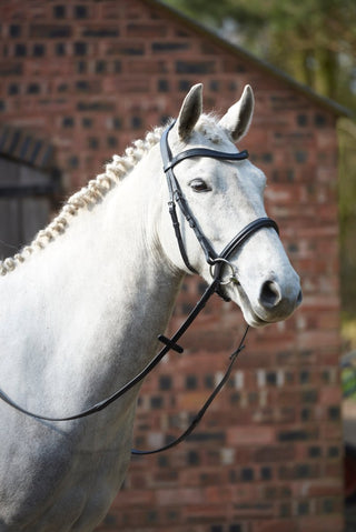 GFS SIMPLICITY BRIDLE 3 | Saddles Direct