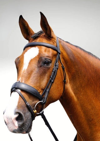 GFS TRANSITION COMBI DRESSAGE BRIDLE 1 | Saddles Direct