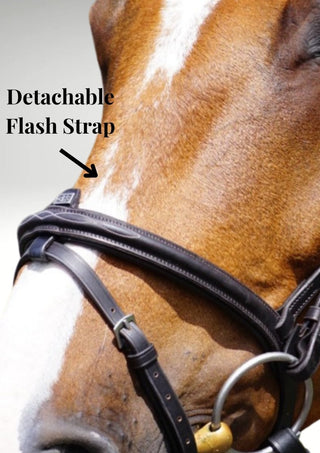 GFS TRANSITION COMBI FLASH BRIDLE 2 | Saddles Direct