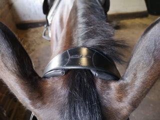 Henry James Saddlery Comfort 4D Air Headpiece 2 Strap 3 | Saddles Direct