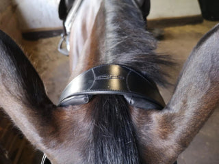 Henry James Saddlery Comfort 4D Air Headpiece 1 | Saddles Direct