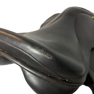 Brown Ideal Ramsey WH/Show Brown 17" XW 8 - Saddles Direct