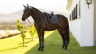 LeMieux Loire Classic Dressage Saddle Pad Jungle lifestyle