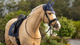 LeMieux Air-Tek Mesh Fly Hood Shadow