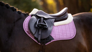 LeMieux Merino+ Suede Close Contact Square Fondant lifestyle