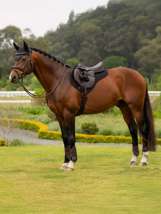 LeMieux Air-Tek Mesh Square Saddle Pad - Black Half Square lifestyle 1
