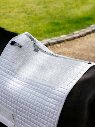 LeMieux Gel-Tek Slimline Half Pad - Clear lifestyle 3