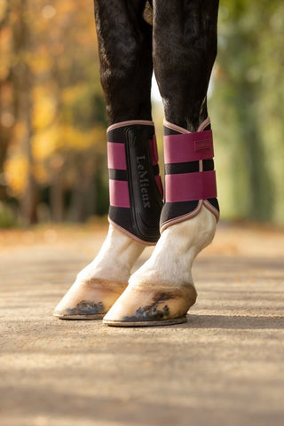 LeMieux Air-Tek Grafter Brushing Boots Blackberry 2 | Saddles Direct