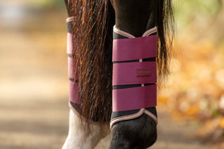 LeMieux Air-Tek Grafter Brushing Boots Blackberry 4 | Saddles Direct