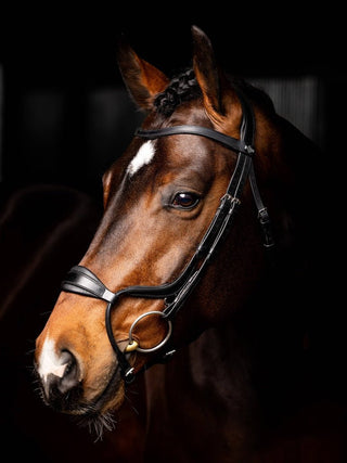 Pony LeMieux Arika Adjustable Anatomic Noseband Bridle 3 - Saddles Direct