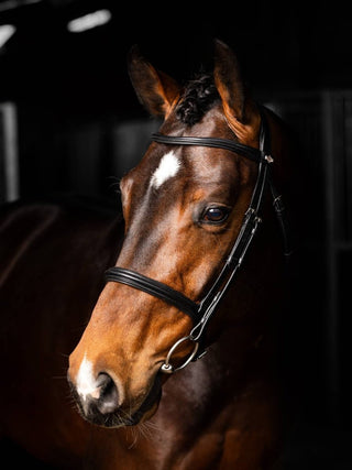 Pony LeMieux Arika Cavesson Bridle 4 - Saddles Direct