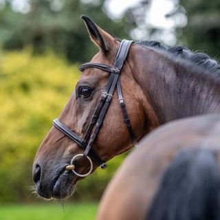 Pony LeMieux Arika Cavesson Bridle 2 - Saddles Direct