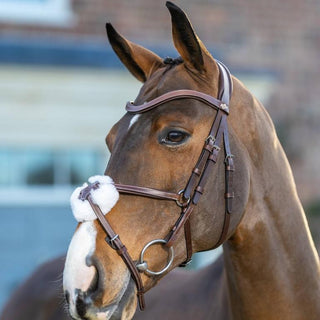 Pony LeMieux Arika Grackle Bridle 9 - Saddles Direct