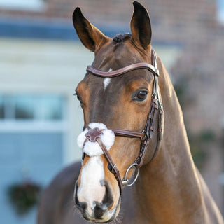 Pony LeMieux Arika Grackle Bridle 3 - Saddles Direct