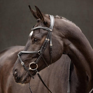 Pony LeMieux Arika Grackle Bridle 2 - Saddles Direct