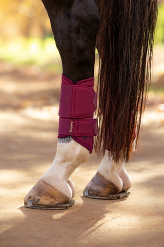 LeMieux Arika Mesh Brushing Boots Blackberry 3 | Saddles Direct