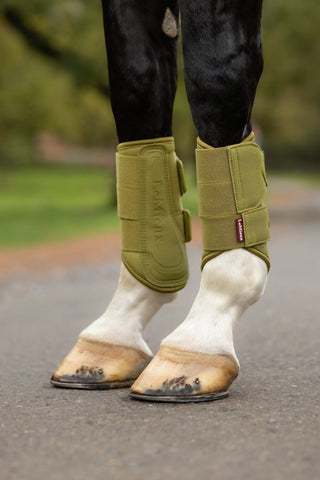 LeMieux Arika Mesh Brushing Boots Gooseberry 2 | Saddles Direct