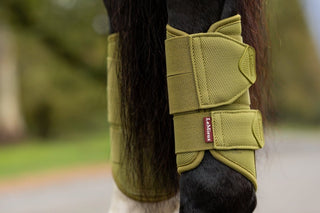 LeMieux Arika Mesh Brushing Boots Gooseberry 3 | Saddles Direct