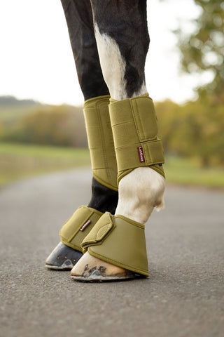 LeMieux Arika Over Reach Boots Gooseberry 2 | Saddles Direct