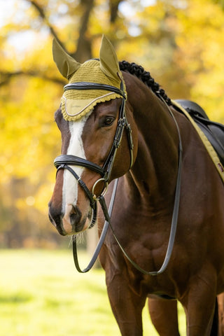 LeMieux Classic Fly Hood Gooseberry 4 | Saddles Direct