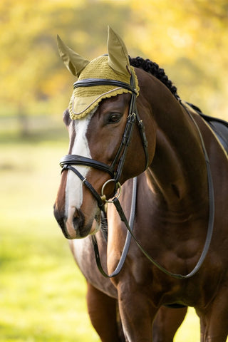 LeMieux Classic Fly Hood Gooseberry 3 | Saddles Direct