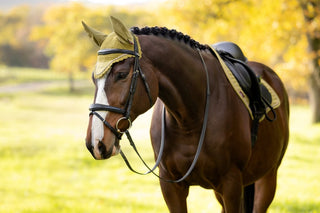 LeMieux Classic Fly Hood Gooseberry 2 | Saddles Direct
