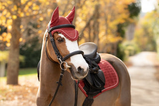 LeMieux Classic Fly Hood Russet 4 | Saddles Direct
