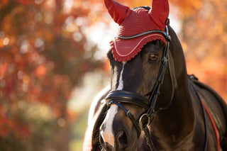 LeMieux Classic Fly Hood Russet 2 | Saddles Direct