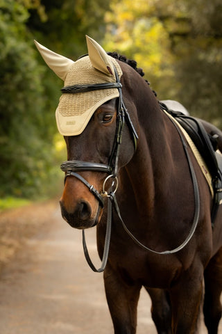 LeMieux Essence Fly Hood Pear 2 | Saddles Direct