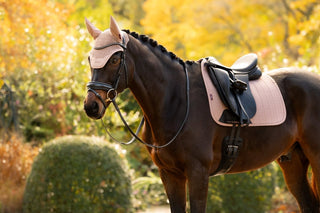LeMieux Essence Fly Hood Wild Rose 2 | Saddles Direct