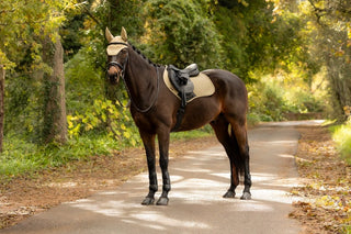 LeMieux Essence Square Saddle Pad Pear 9 | Saddles Direct