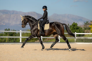 LeMieux Essence Square Saddle Pad Pear 10 | Saddles Direct