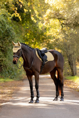 LeMieux Essence Square Saddle Pad Pear 8 | Saddles Direct