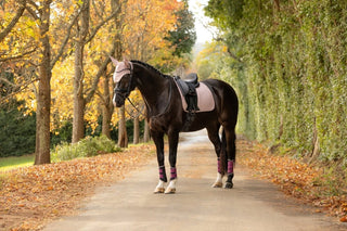 LeMieux Essence Square Saddle Pad Wild Rose 5 | Saddles Direct