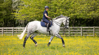 LeMieux GP Work Pad 4 | Saddles Direct