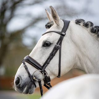 Pony LeMieux Kudos Classic Dressage Bridle 5 - Saddles Direct