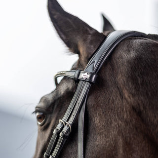 Pony LeMieux Kudos Classic Dressage Bridle 3 - Saddles Direct