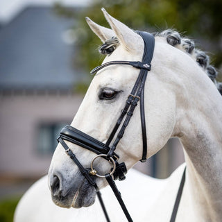 Pony LeMieux Kudos Classic Dressage Bridle 2 - Saddles Direct