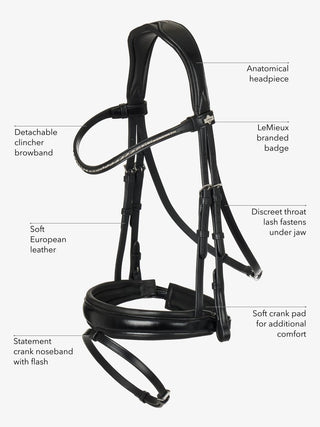 Pony LeMieux Kudos Classic Dressage Bridle 4 - Saddles Direct