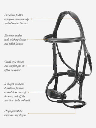 Pony LeMieux Kudos Clear Arc Bridle 3 - Saddles Direct