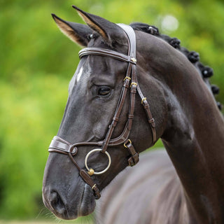 Pony LeMieux Kudos Clear Arc Bridle 2 - Saddles Direct