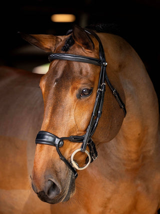 Pony LeMieux Kudos Clear Arc Bridle 5 - Saddles Direct