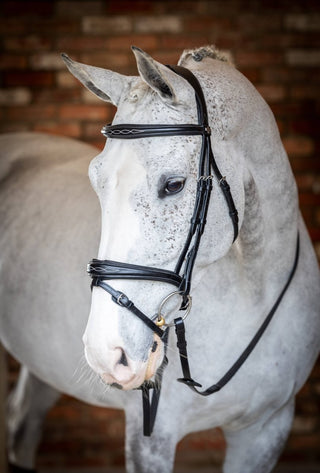 Pony LeMieux Kudos Competition Flash 7 - Saddles Direct