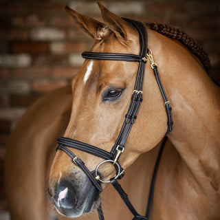 LeMieux Kudos Work Bridle 6 | Saddles Direct