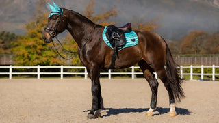 LeMieux Loire Classic Close Contact Square Azure 2 | Saddles Direct