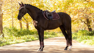 Lemieux Loire Classic Close Contact Square Damson 2 | Saddles Direct