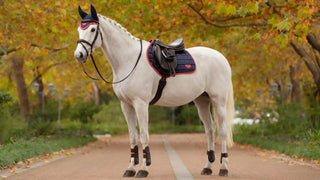 Lemieux Loire Classic Close Contact Square Navy/Cranberry 2 | Saddles Direct