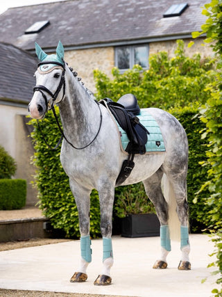 LeMieux Loire Classic Dressage Pad Aqua 2 | Saddles Direct